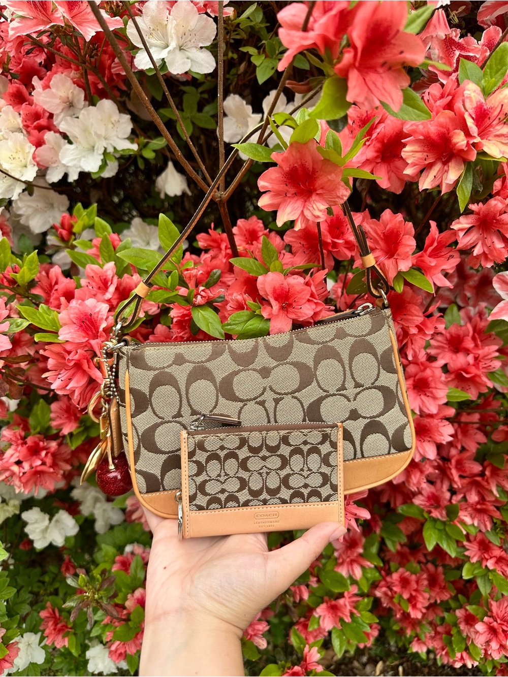 Coach Signature Canvas Mini Shoulder Bag with Card Case - Brown/Tan